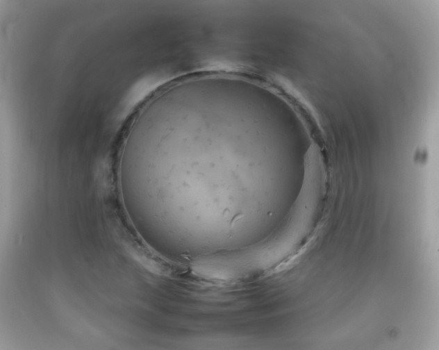 X0000092071215200709121409