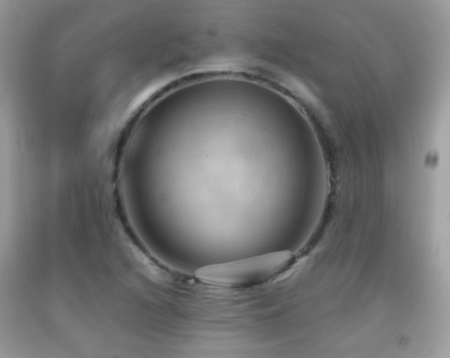 X0000092071216200709121409