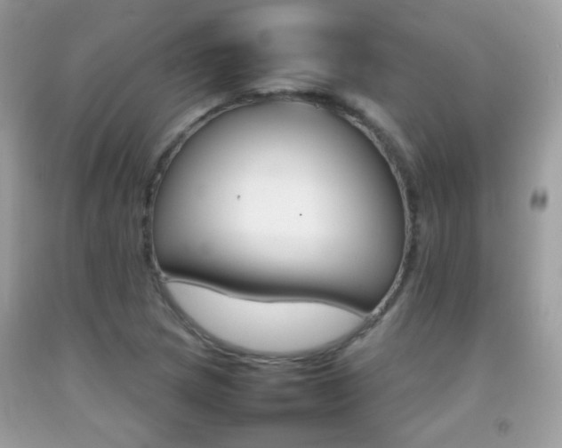 X0000092071217200709121409