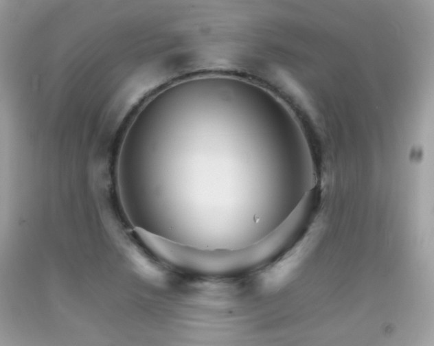 X0000092071218200709121409