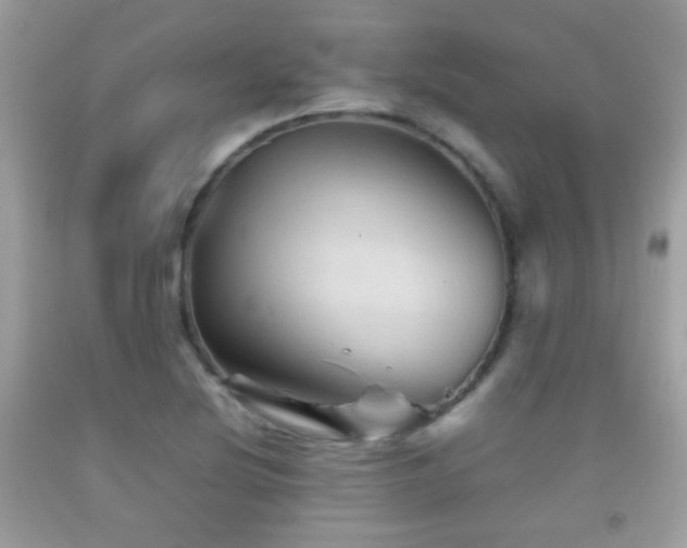 X0000092071220200709121409