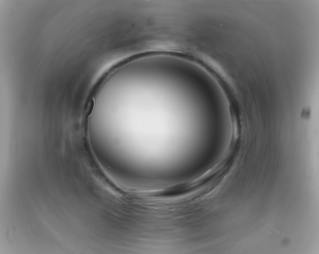 X0000092071222200709121409