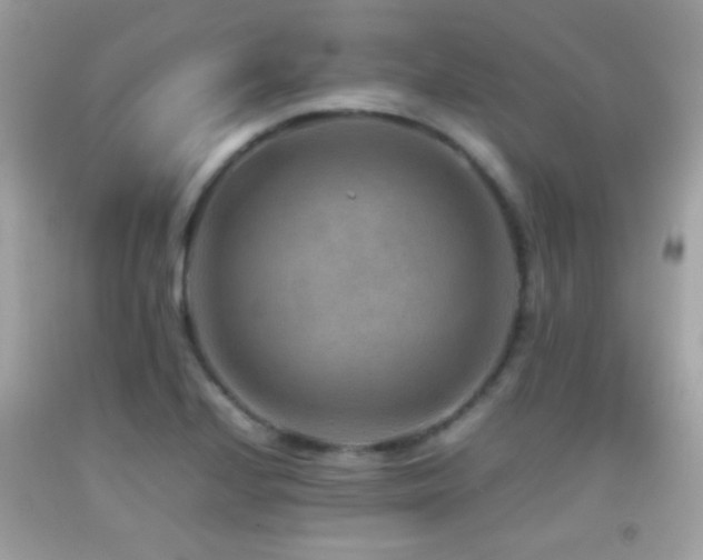 X0000092071224200709121409