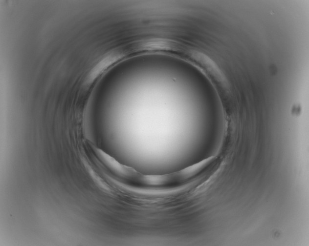 X0000092071225200709121409