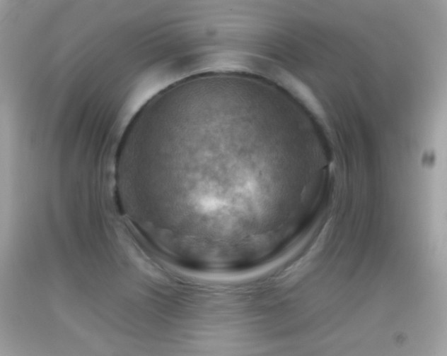 X0000092071226200709121409