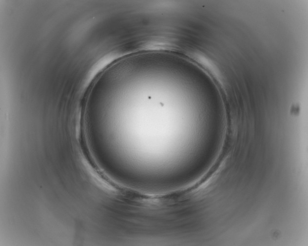 X0000092071227200709121409