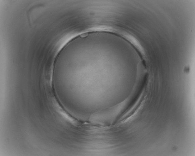 X0000092071228200709121409