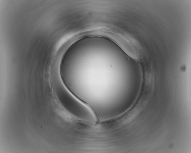 X0000092071230200709121409