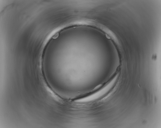 X0000092071232200709121409