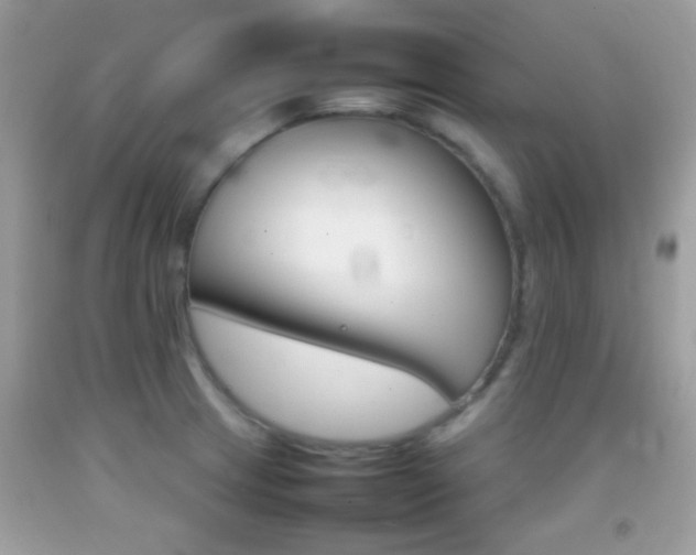 X0000092071233200709121409