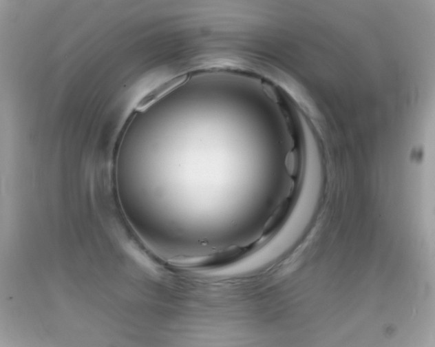 X0000092071234200709121409