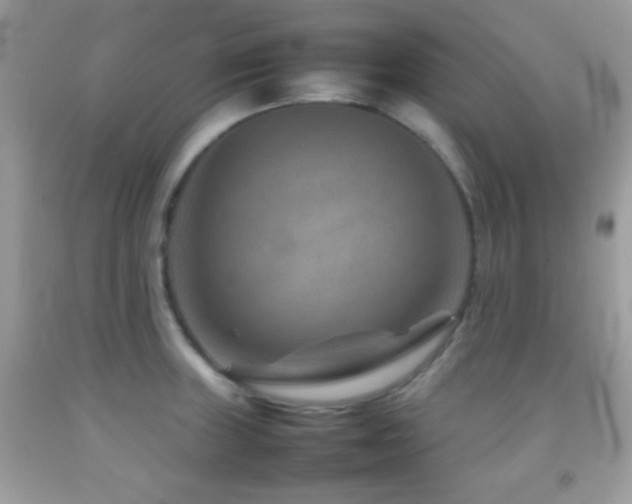 X0000092071235200709121409