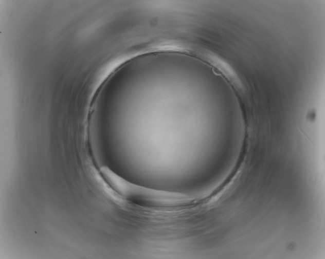 X0000092071236200709121409