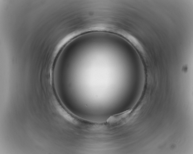 X0000092071238200709121409