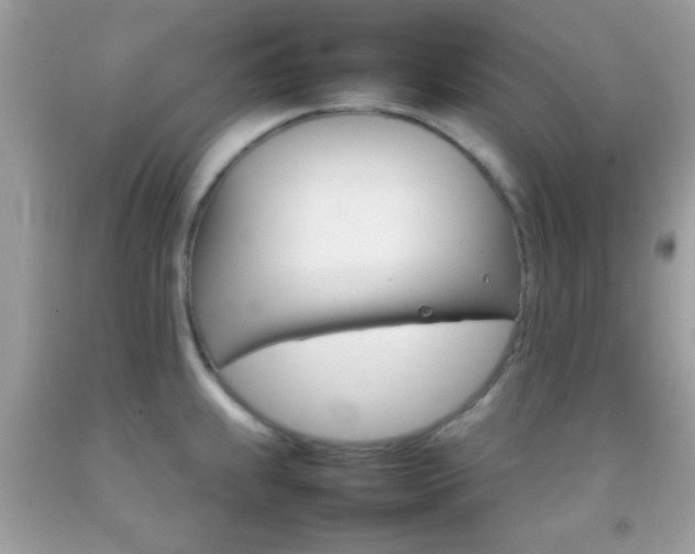 X0000092071239200709121409