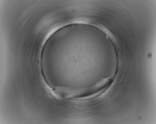 X0000092071240200709121410