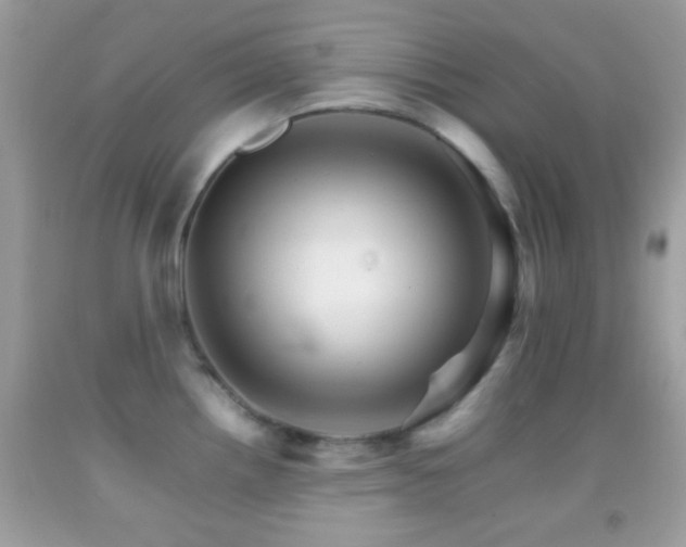 X0000092071242200709121410