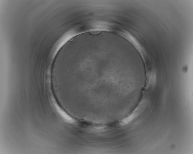 X0000092071243200709121410