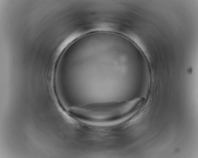 X0000092071245200709121410