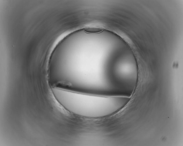 X0000092071248200709121410