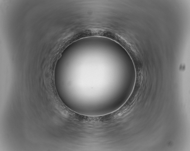 X0000092071249200709121409