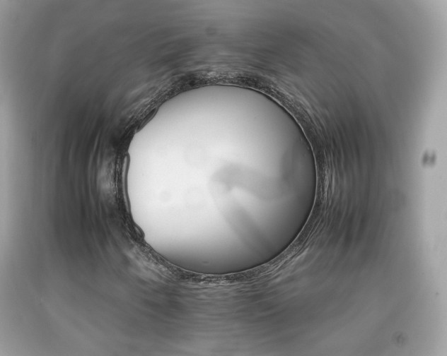 X0000092071250200709121409