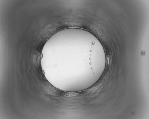 X0000092071251200709121409