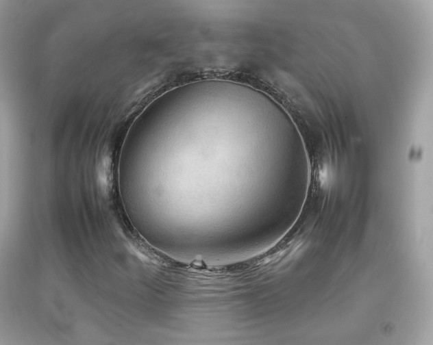 X0000092071252200709121409