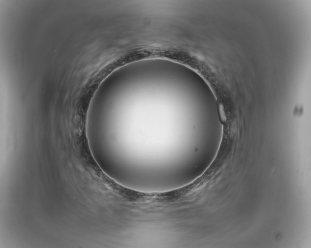 X0000092071253200709121409