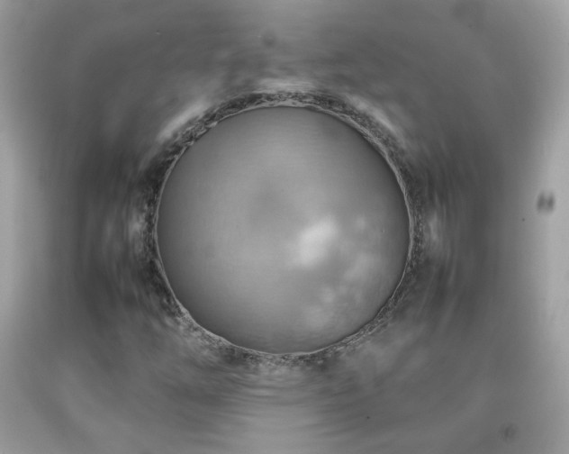 X0000092071254200709121409