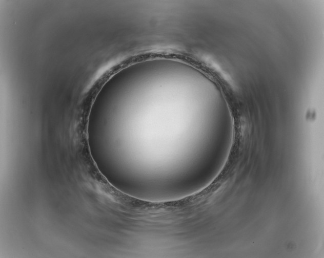 X0000092071256200709121409