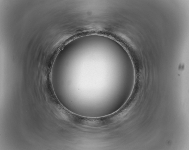 X0000092071257200709121409