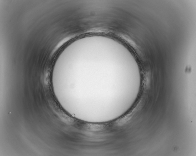 X0000092071258200709121409