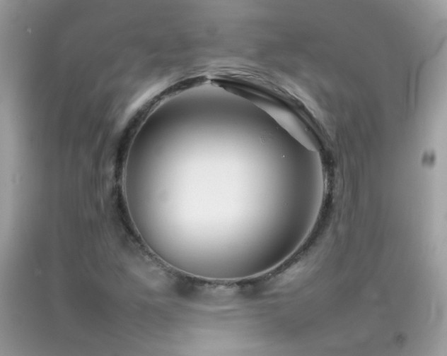X0000092071261200709121409