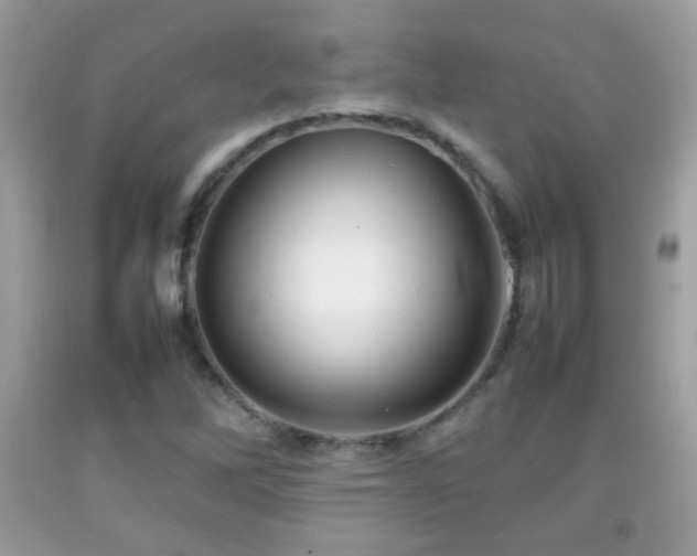 X0000092071262200709121408