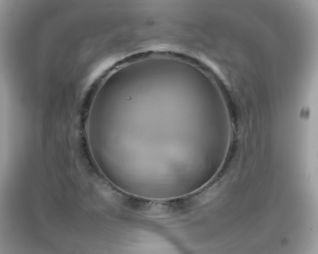 X0000092071263200709121408