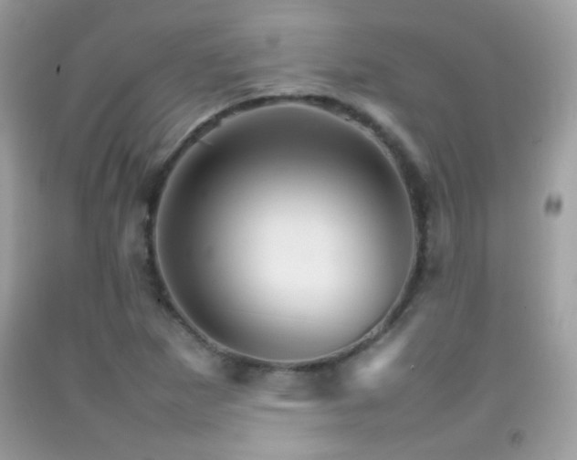 X0000092071265200709121408