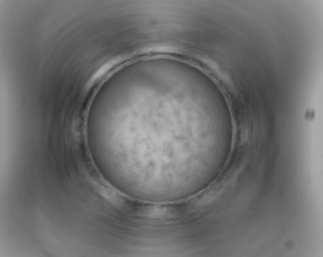 X0000092071266200709121408