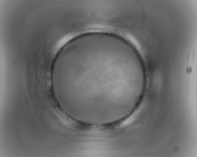 X0000092071267200709121408