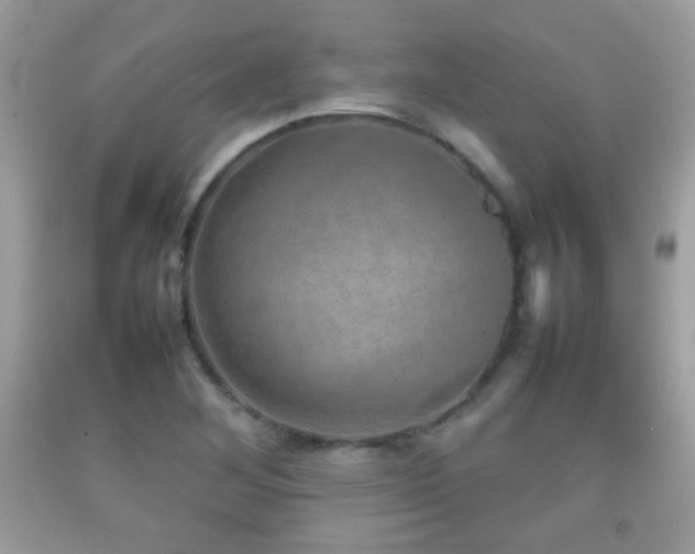 X0000092071268200709121408