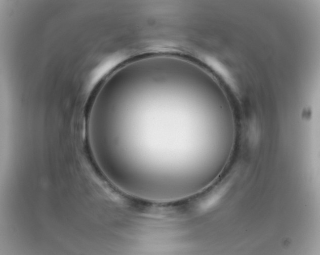 X0000092071269200709121408