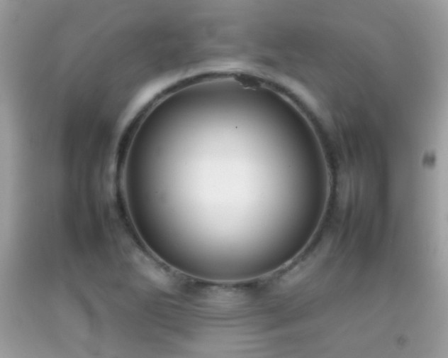 X0000092071270200709121408
