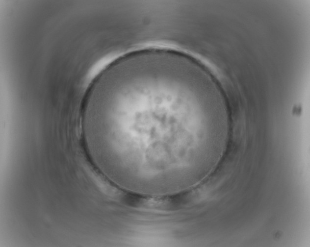 X0000092071271200709121408