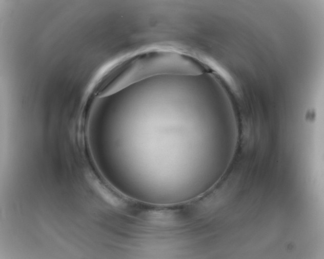 X0000092071272200709121408