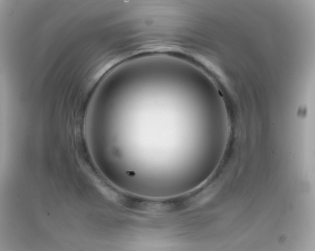 X0000092071273200709121408