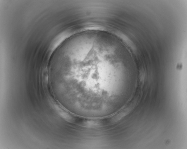 X0000092071274200709121408