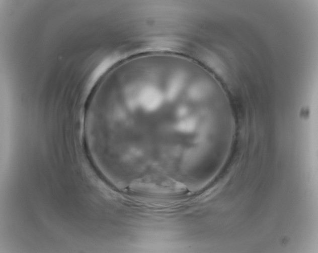 X0000092071275200709121408