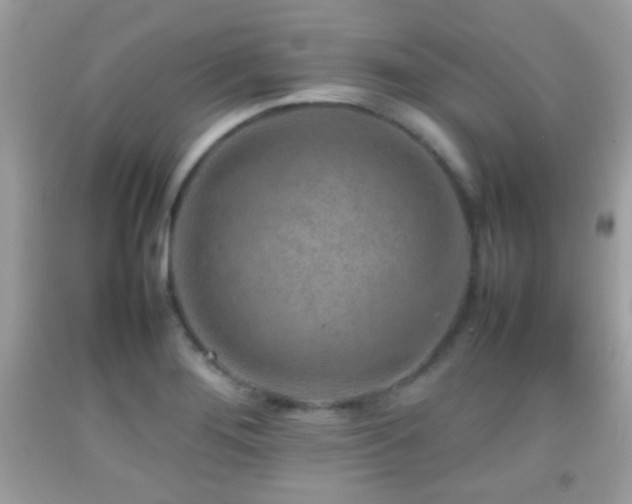X0000092071276200709121408