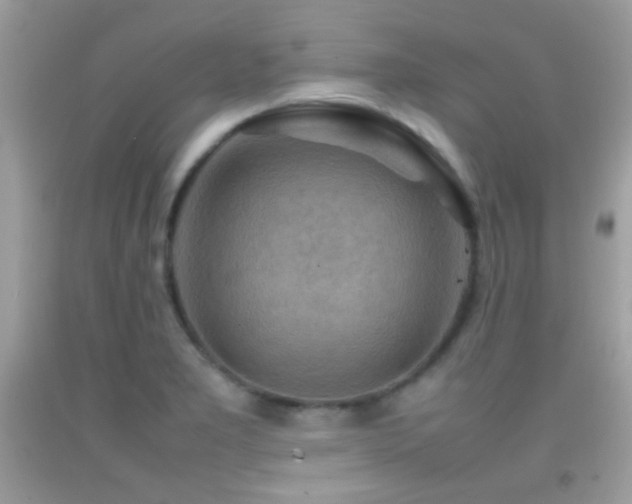 X0000092071277200709121408