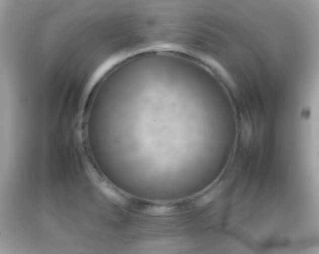 X0000092071278200709121408